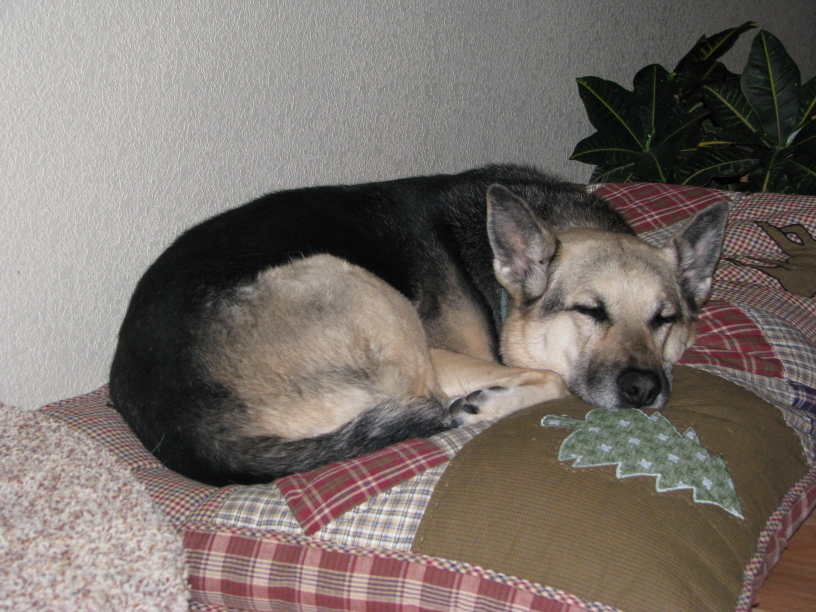 Sleep